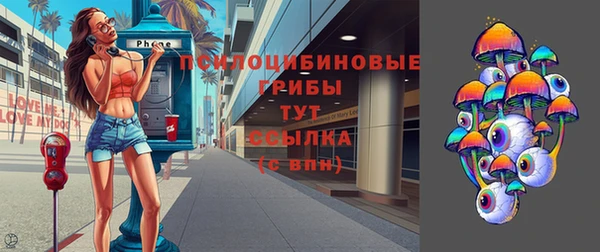 дживик Абинск