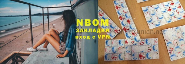 сатива Алзамай