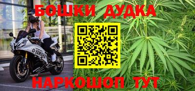 крисы Брянск