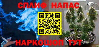 крисы Брянск