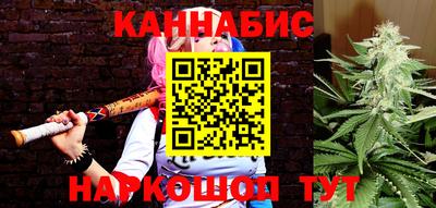 крисы Брянск
