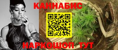 крисы Брянск