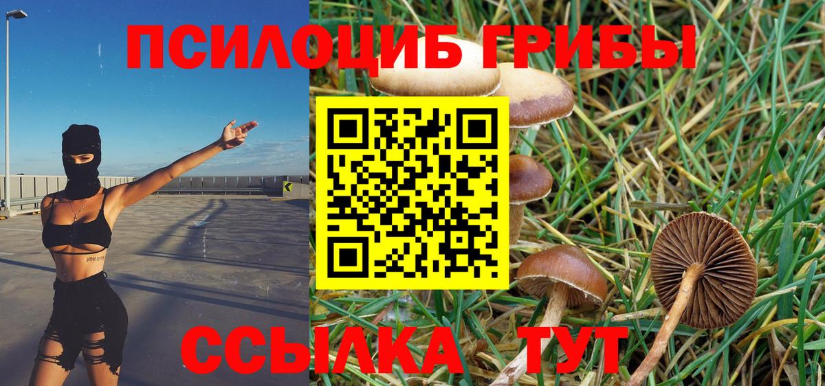 Галлюциногенные грибы GOLDEN TEACHER  Вход с VPN  Салават 